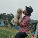 펫피랜드 이미지