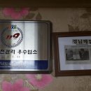 일신매화 이미지