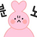 대구랩서비스 이미지