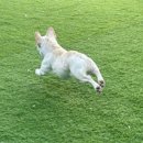 새마을 유치원 이미지