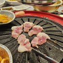 개대박 | [광주 용봉동 맛집] 개대박 숯불구이 방문후기 | 특수부위 맛집 솔직 리뷰