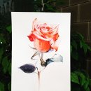 마음 힐링을 위한 수채화 이미지