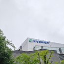 달성문화센터 | 달성문화센터 자유수영 후기