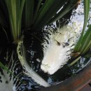 UP-TO-DATE 이미지