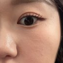 딜썸 | 2025 11월 ~ 12월 털이_2