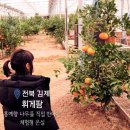 [전북 김제] 휘게팜_겨울방학_전주 근교 아이랑 갈만한 곳