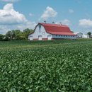 국선행정사사무소 이미지