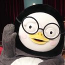 하이히얼 이미지