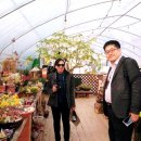 [남양주 역사문화 아카데미] 영화로 만나는 남양주 | 친구 Noi와 함께 떠난 남양주 감성 여행! 두물머리...정약용 유적지 역사 탐방까지: 완벽한 반나절 투어...