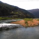 이선녀 농장 이미지