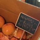 퇴계로85길 | 신당 중앙시장 맛집 고사리 익스프레스 내돈내산 (메뉴판,솔직후기)