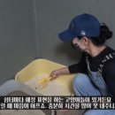 묘한당 이미지