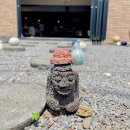 본나무카페 | 3박 4일 제주 여행 코스 추천, 직접 다녀본 맛집·카페·액티비티 리얼 후기 모음