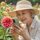 스마트폰으로 사진작가 되기 | '인생 샷'은 나이가 만들죠! 시니어 스마트폰 사진 작가 되기