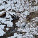 두산2리마을회관 이미지