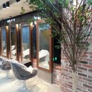 아르떼헤어 이미지