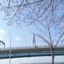 갈맷길6-1구간 이미지