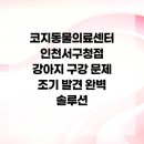 코지동물의료센터 서구청점 이미지
