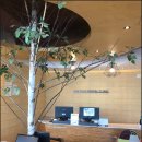 맘편안치과의원 이미지