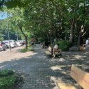 창진산장휴게소 이미지