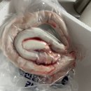 거성커넥트 | [오래먹는 강아지 간식] 소우신 불리스틱 만들기 (구매 및 보관 팁)