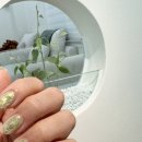 울산 삼산 네일샵 네일오브유 쉐입장인 가영실장 이달의아트