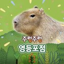 닥터크린랜드 | 어린이날 아이와 가볼만한 곳, 서울 실내 동물원 주렁주렁 영등포 (주차,예매 꿀팁)
