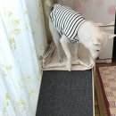 필링하우스 이미지