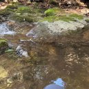 백운봉 | [양평여행]1박2일 여름 캠핑 야영장 후기 "양평 백운봉 자연휴양림"