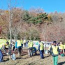 오도미 경관 숲 이미지