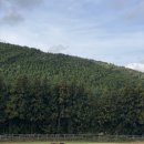 미도호스텔 이미지