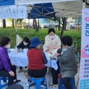 논현2동-10 이미지