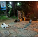 수정배수지공원 이미지