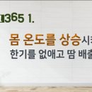 스토어365제주 이미지