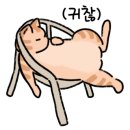 수정-6 이미지