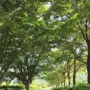 서하체육공원 이미지