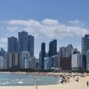 참가자미물회 이미지