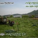 서산팜스 중앙일보