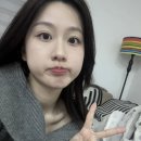 참치랑연어랑