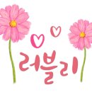 토현유치원 이미지