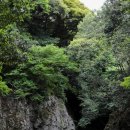 계곡사랑 이미지