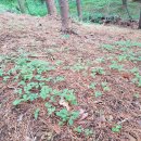 와야농장 이미지