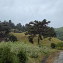 권근 권제 권람 삼대묘(생극면 방축리 산7, 능안로 377-15) 이미지