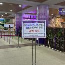 우정당구장 | 하이원 스노우월드 다녀온 후기 :: 하이원리조트 셔틀버스 이용방법 / 메이힐스 리조트 이용후기 / 정선...