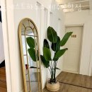 제주게스트하우스봄꽃 이미지