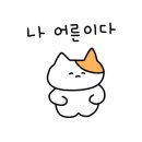 커피시루