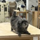 덕수 | 덕수 목공방 후기🍀 [삼각지]