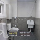 주정차102 네이버블로그