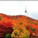 청산유수 이미지