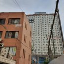 산꼼장어장어나라 이미지